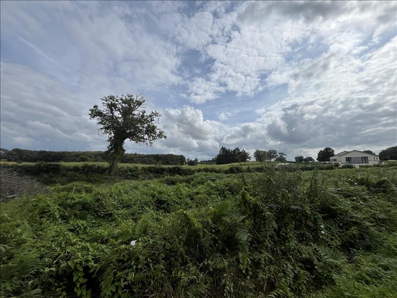 Vente Terrain La Souterraine - -5620 m² - (23300)