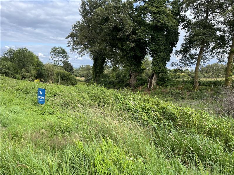 Vente Terrain La Souterraine - -5620 m² - (23300)
