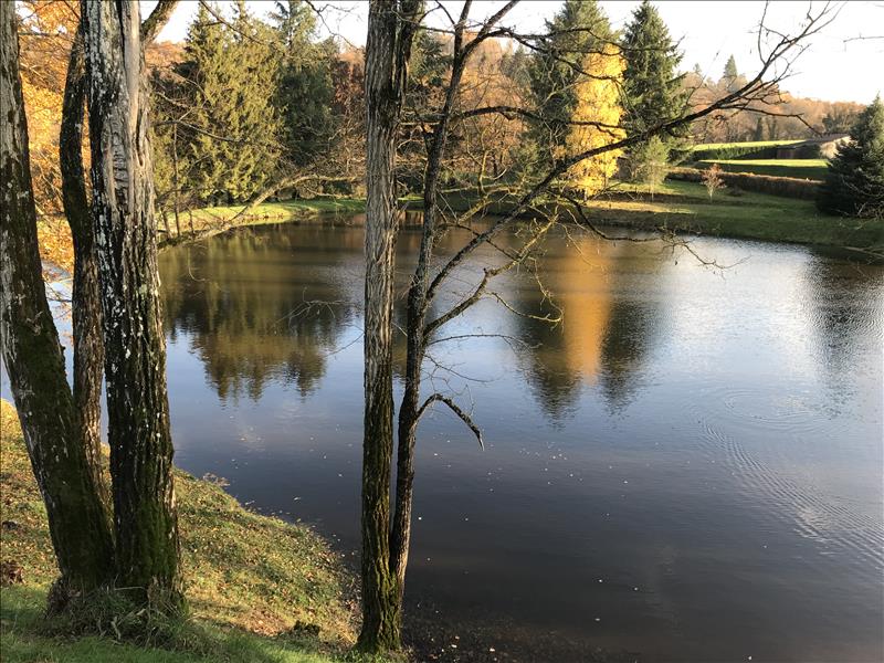 Vente Terrain Saint-Léger-Bridereix - -9963 m² - (23300)
