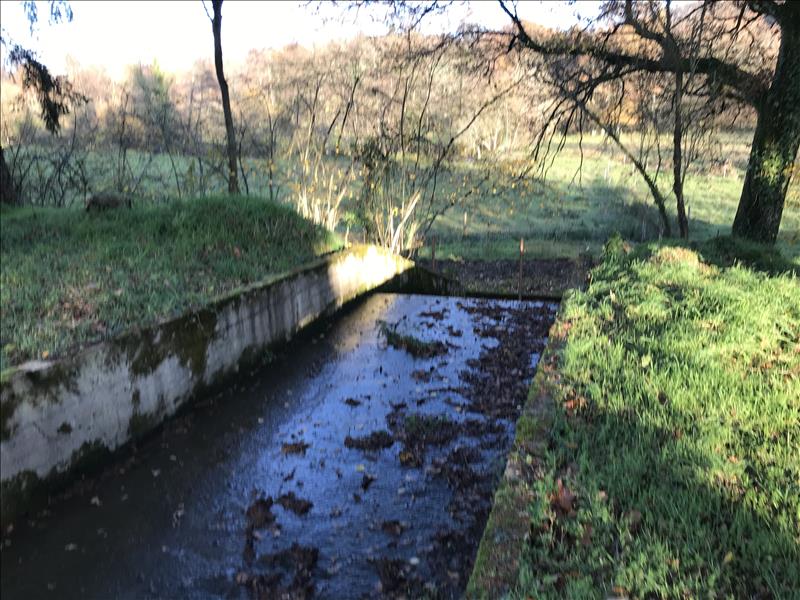 Vente Terrain Saint-Léger-Bridereix - -9963 m² - (23300)