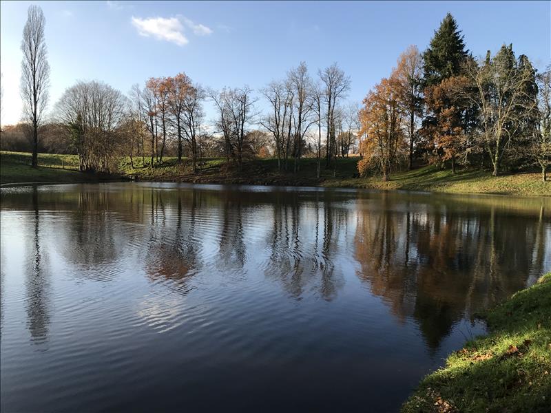 Vente Terrain Saint-Léger-Bridereix - -9963 m² - (23300)