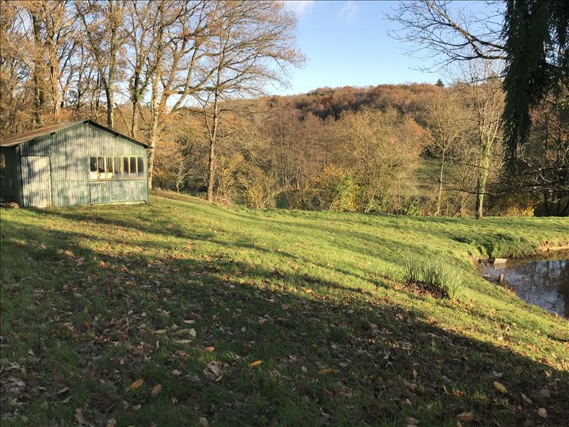 Vente Terrain Saint-Léger-Bridereix - -9963 m² - (23300)