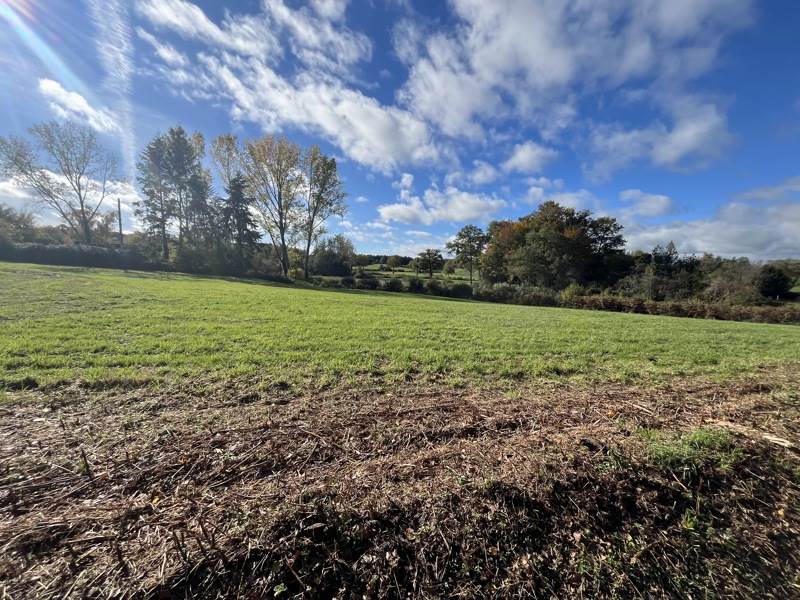 Vente Terrain Saint-Maurice-la-Souterraine - -3392 m² - (23300)