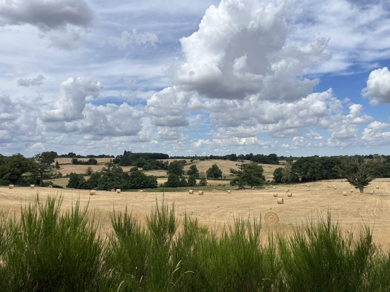 Vente Maison ST AMAND MAGNAZEIX - 7 pièces -154 m² - (87290)