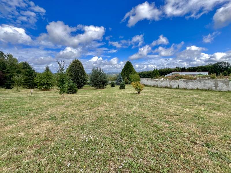 Vente Terrain STE FEREOLE - -1714 m² - (19270)