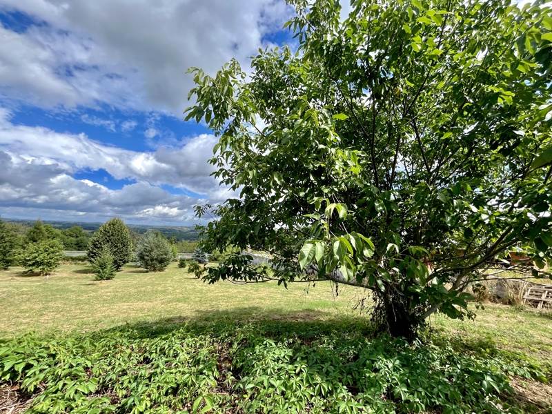 Vente Terrain STE FEREOLE - -1714 m² - (19270)