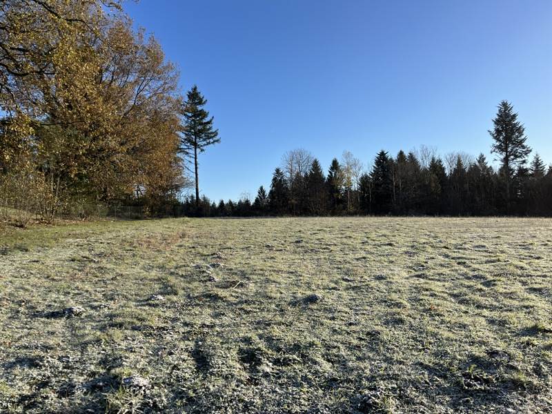 Vente Terrain PALAZINGES - -1728 m² - (19190)