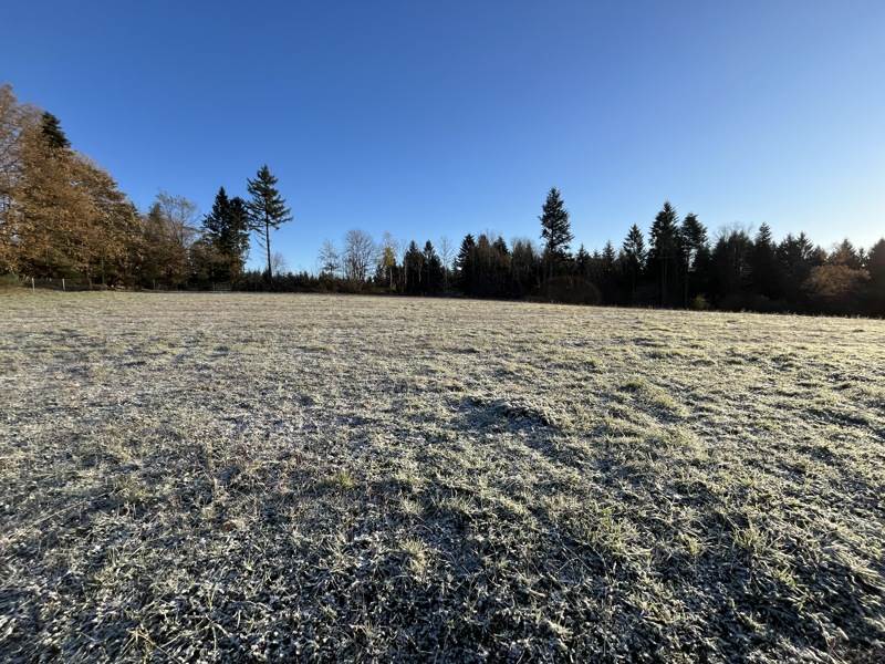 Vente Terrain PALAZINGES - -1728 m² - (19190)