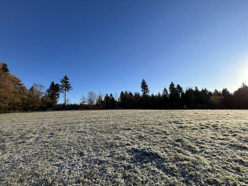 Vente Terrain PALAZINGES - -1728 m² - (19190)