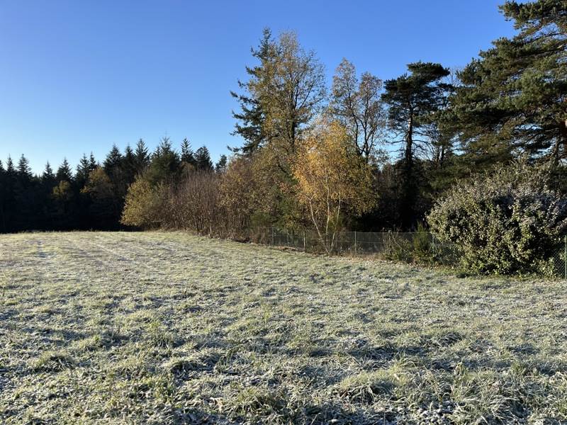 Vente Terrain PALAZINGES - -1602 m² - (19190)