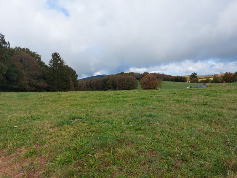 Vente Terrain PALAZINGES - -1611 m² - (19190)
