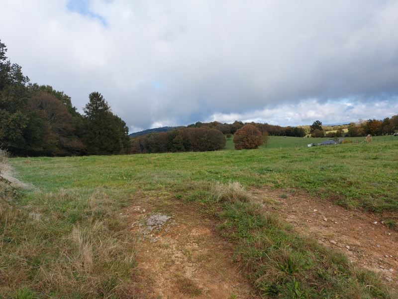 Vente Terrain PALAZINGES - -1611 m² - (19190)