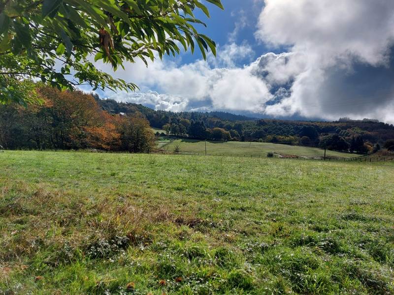 Vente Terrain PALAZINGES - -2964 m² - (19190)