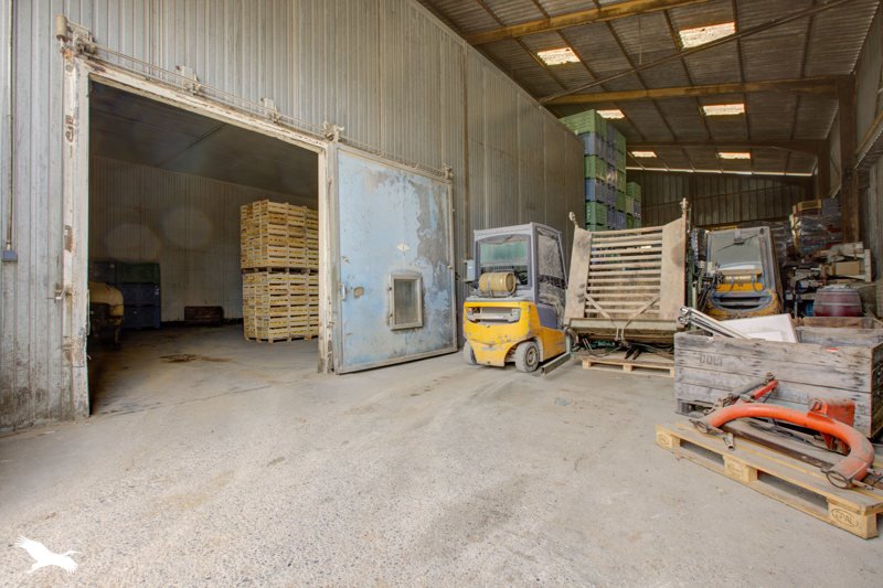 Vente Maison STE FEREOLE - 5 pièces -112 m² - (19270)