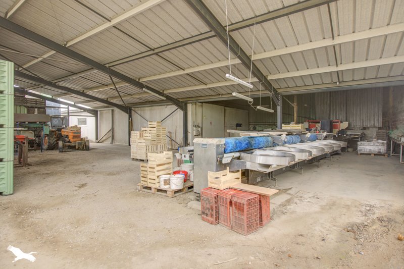 Vente Maison STE FEREOLE - 5 pièces -112 m² - (19270)