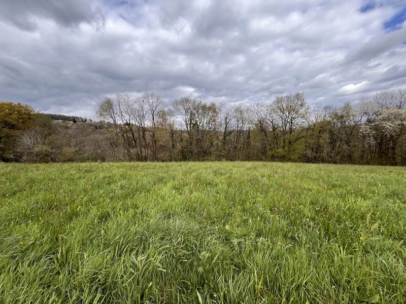 Vente Terrain Sainte-Féréole - -2452 m² - (19270)