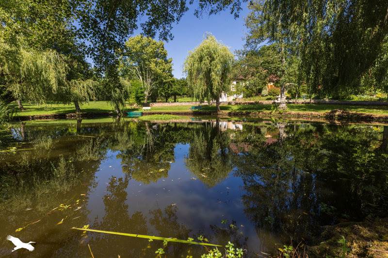 Vente Maison LA CHAPELLE AUX BROCS - 5 pièces -186 m² - (19360)