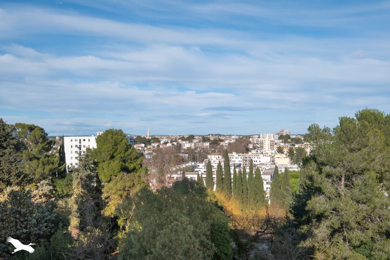 Vente Appartement MONTPELLIER - 4 pièces -67 m² - (34070)