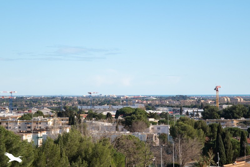 Vente Appartement MONTPELLIER - 4 pièces -67 m² - (34070)