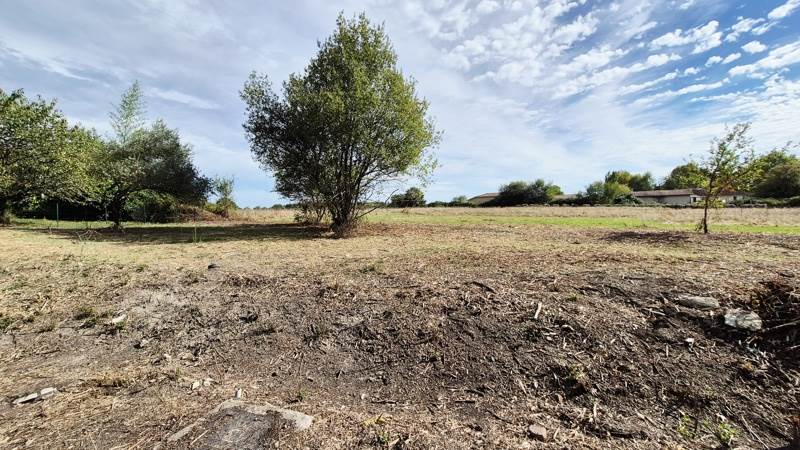 Vente Terrain Bascons - -1456 m² - (40090)