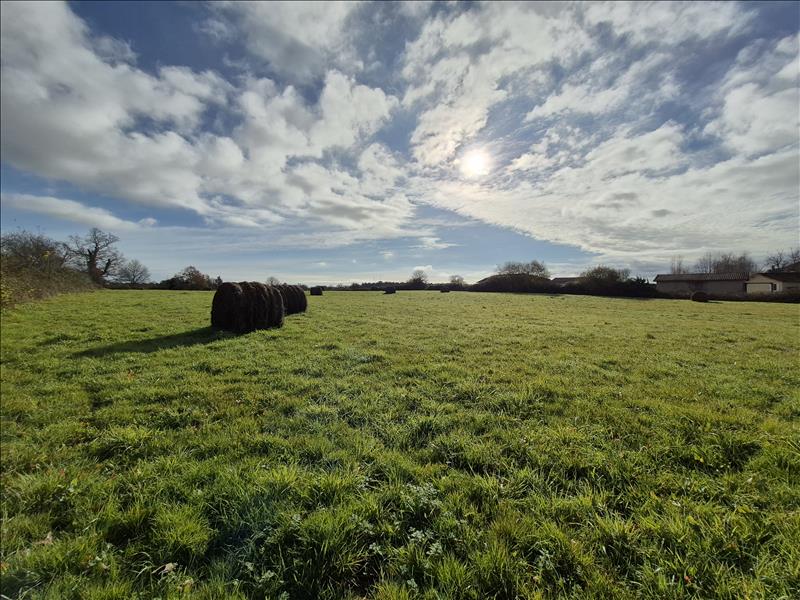 Vente Terrain BASCONS - -1456 m² - (40090)