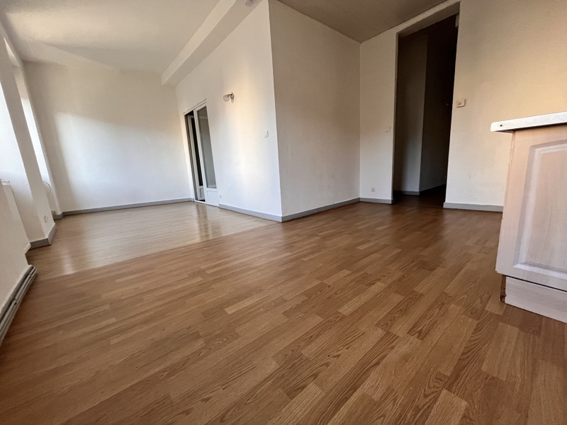 Vente Immeuble ST GAUDENS - -  141 m² - (31800)
