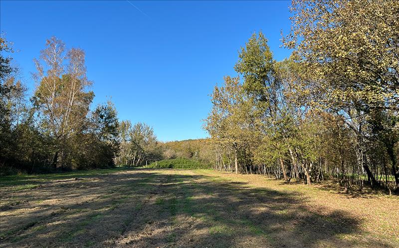 Vente Terrain LAMOTHE MONTRAVEL - -11935 m² - (24230)