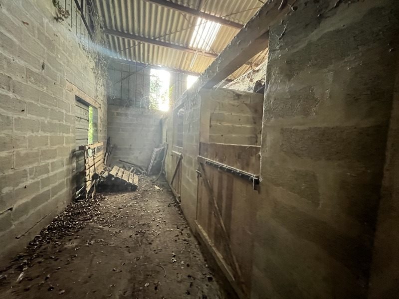 Vente Maison ST MAGNE DE CASTILLON - 5 pièces -130 m² - (33350)