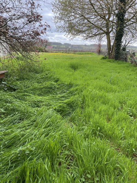 Vente Maison MOULIETS ET VILLEMARTIN - 3 pièces -71 m² - (33350)