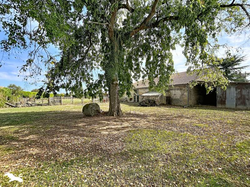 Vente Maison Flaujagues - 4 pièces -111 m² - (33350)