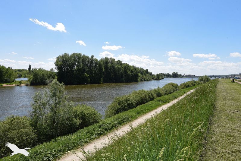 Vente Maison BLOIS - 4 pièces -106 m² - (41000)