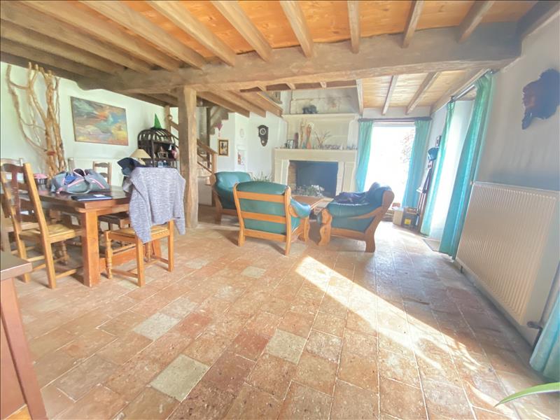 Vente Maison SAMMARCOLLES - 11 pièces -206 m² - (86200)