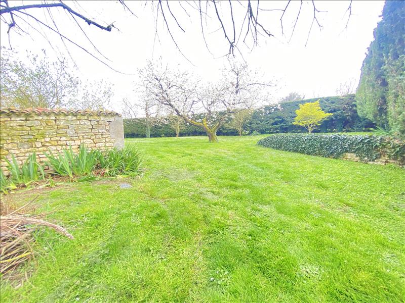 Vente Maison SAMMARCOLLES - 11 pièces -206 m² - (86200)