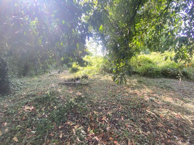 Vente Maison LERNE - 6 pièces -50 m² - (37500)