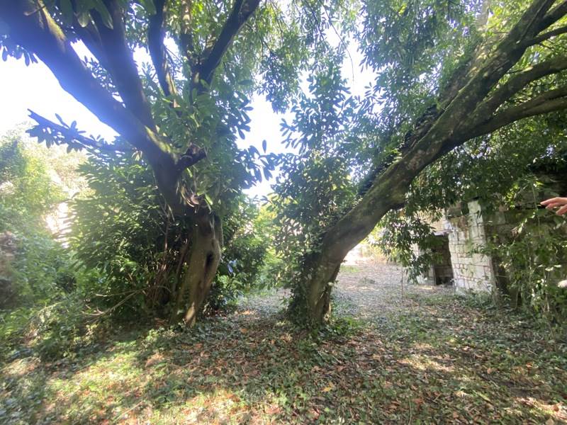 Vente Maison LERNE - 6 pièces -50 m² - (37500)