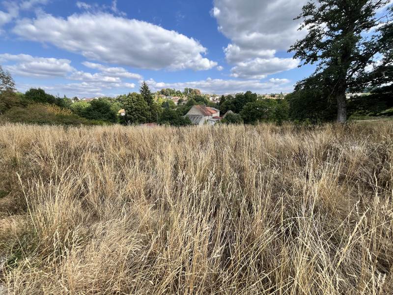 Vente Terrain ST SULPICE LE GUERETOIS - -5717 m² - (23000)