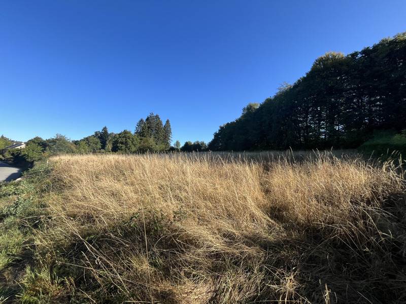 Vente Terrain Savennes - -2803 m² - (23000)