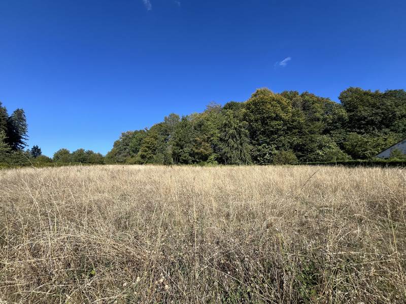 Vente Terrain Savennes - -2803 m² - (23000)
