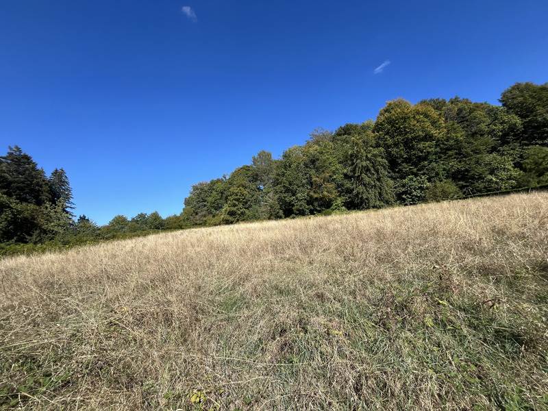 Vente Terrain Savennes - -2803 m² - (23000)