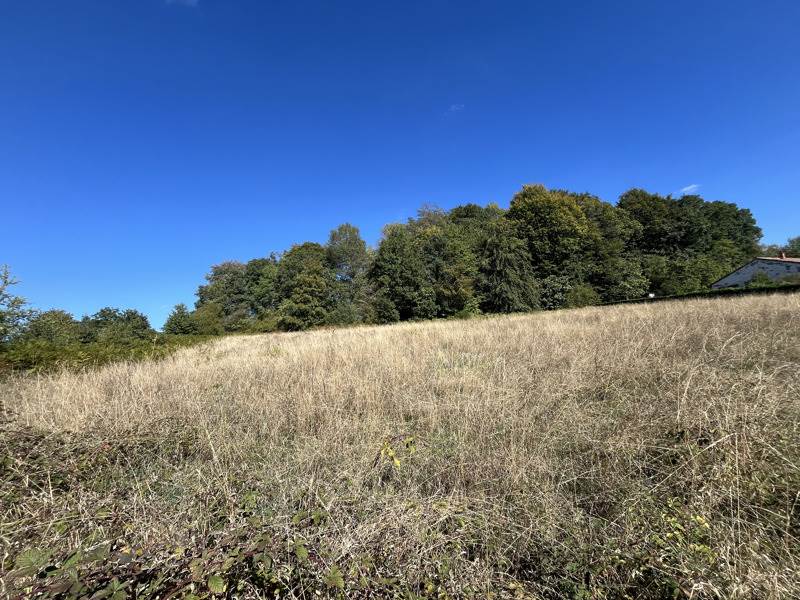 Vente Terrain Savennes - -2803 m² - (23000)