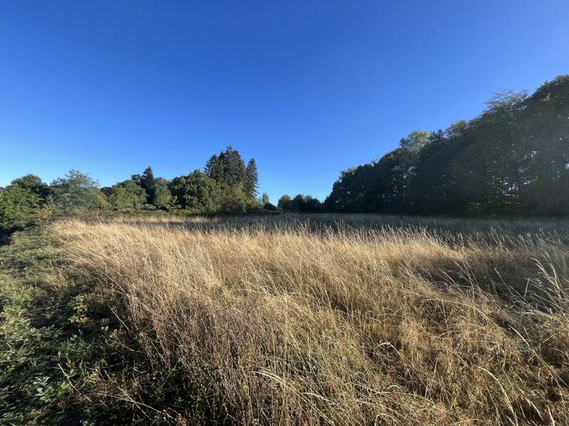 Vente Terrain Savennes - -2977 m² - (23000)