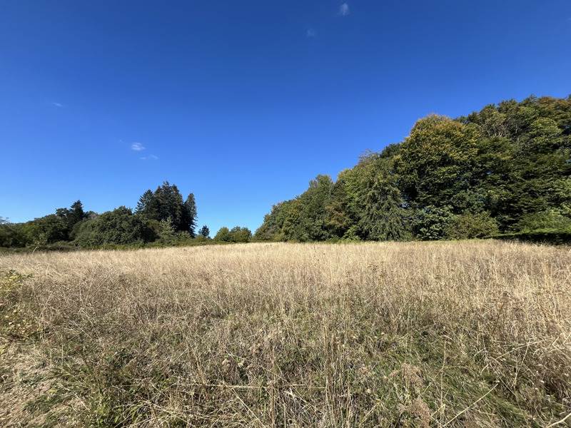 Vente Terrain Savennes - -2977 m² - (23000)