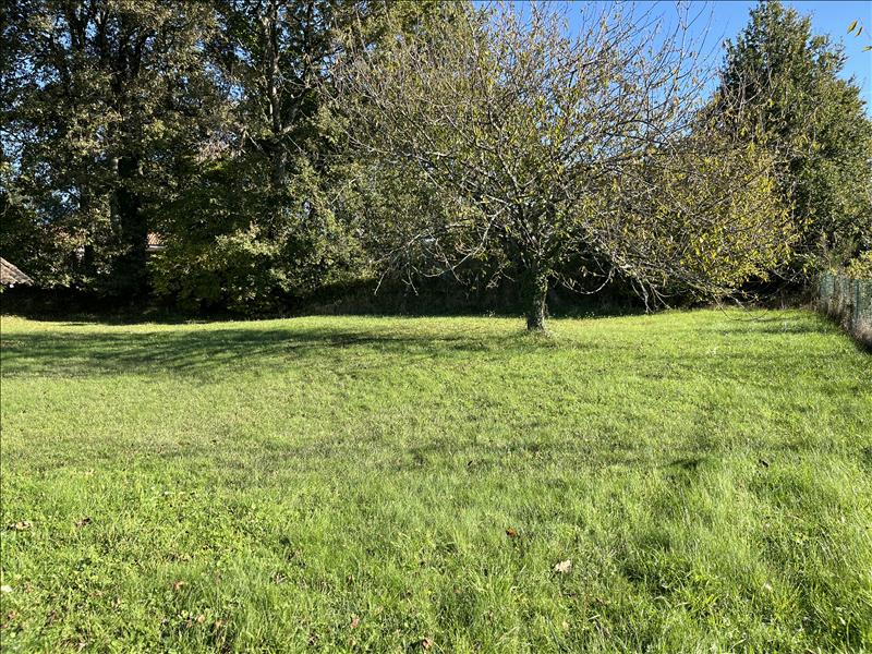 Vente Terrain PEYRAT DE BELLAC - -2790 m² - (87300)