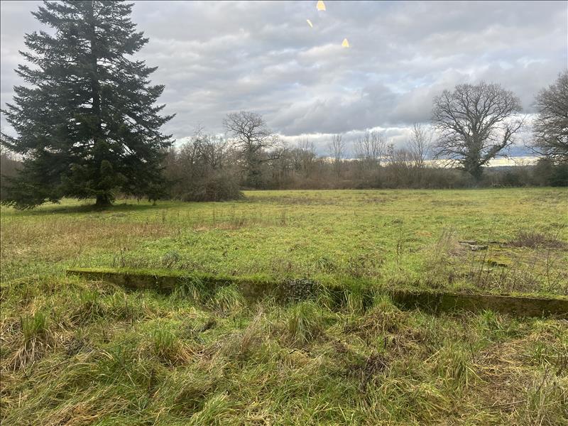 Vente Maison ST BONNET DE BELLAC - 6 pièces -160 m² - (87300)