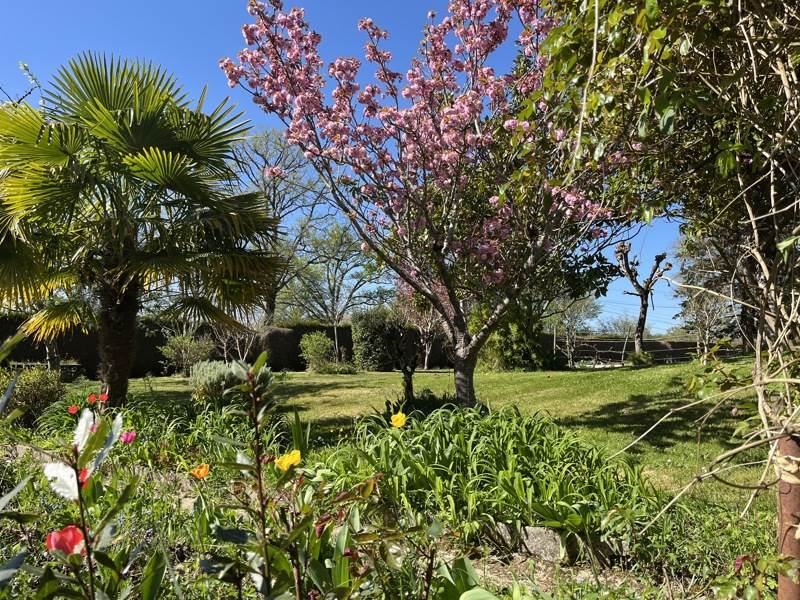 Vente Maison VAL D OIRE ET GARTEMPE - 6 pièces -222 m² - (87320)