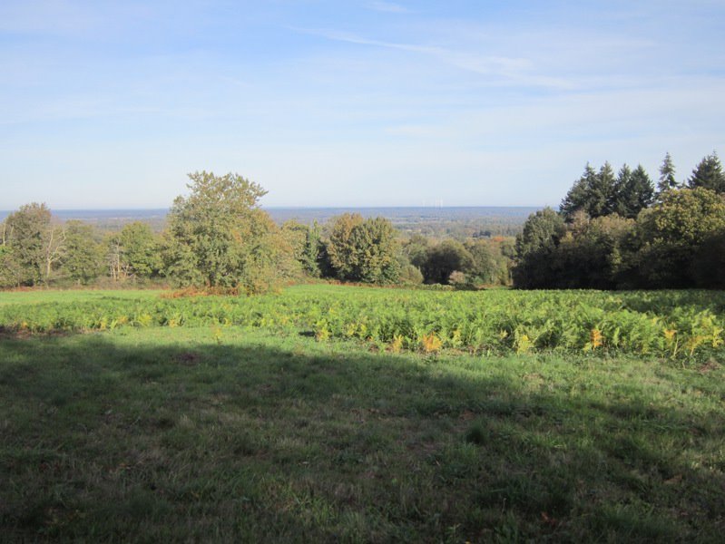 Vente Terrain MONTROL SENARD - -24890 m² - (87330)