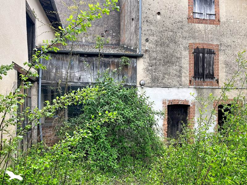 Vente Immeuble BELLAC - -  737 m² - (87300)
