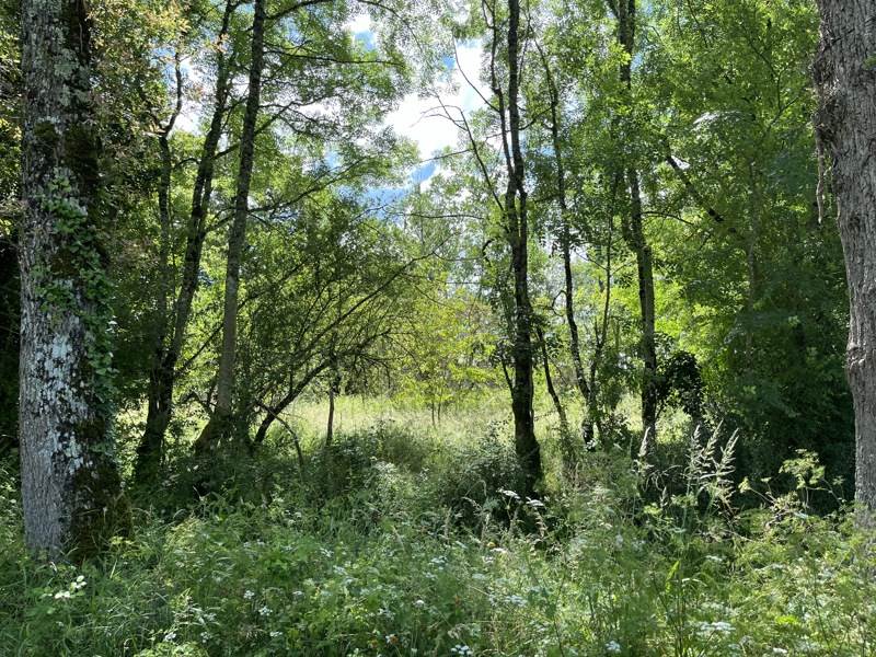Vente Maison ST SORNIN LA MARCHE - 5 pièces -133 m² - (87210)