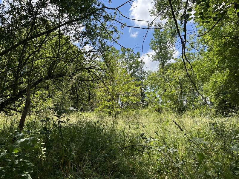 Vente Maison ST SORNIN LA MARCHE - 5 pièces -133 m² - (87210)