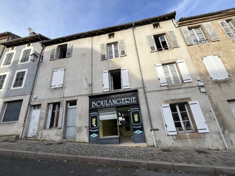 Vente Maison BELLAC - 17 pièces -361,2 m² - (87300)